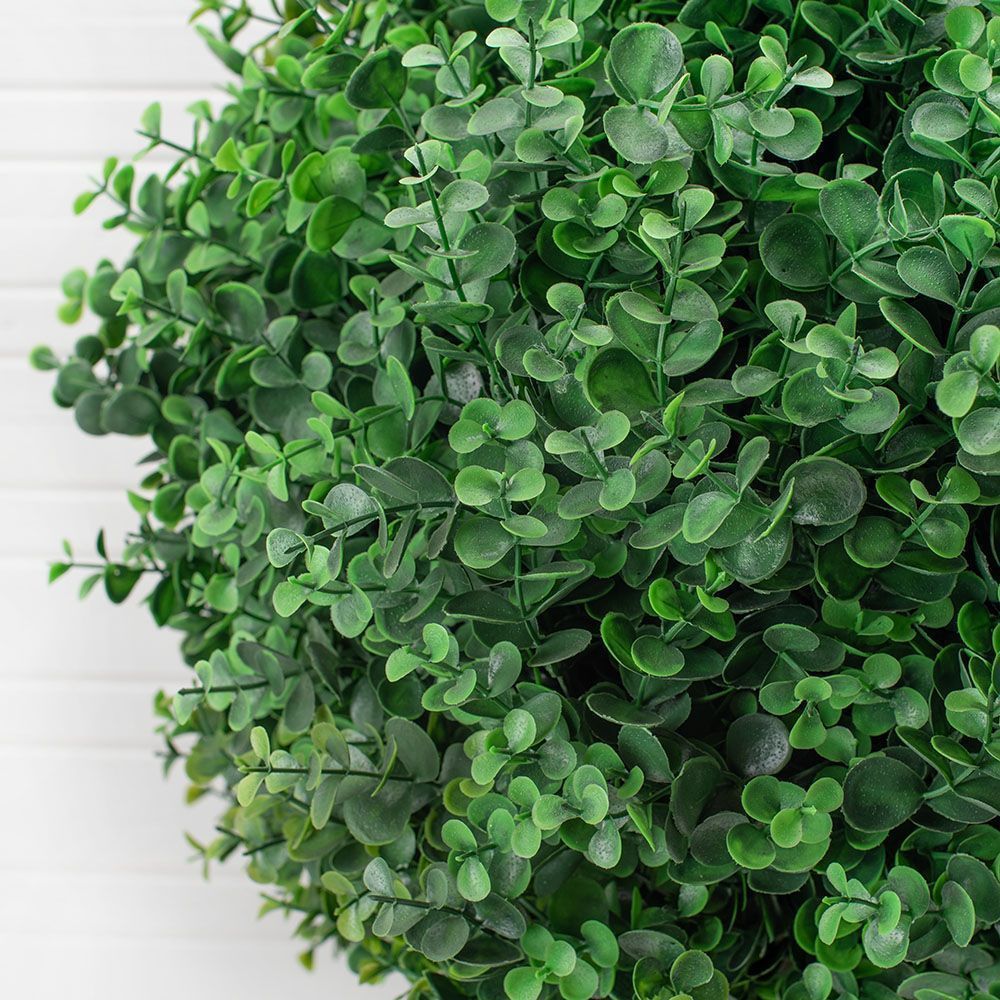 СШ40/228-5 Самшит-шар Эвкал.