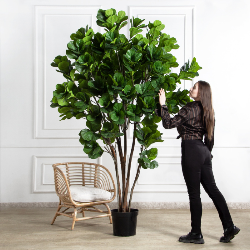 240/РН/713(F) Фикус Лирата искусственный h240см_1