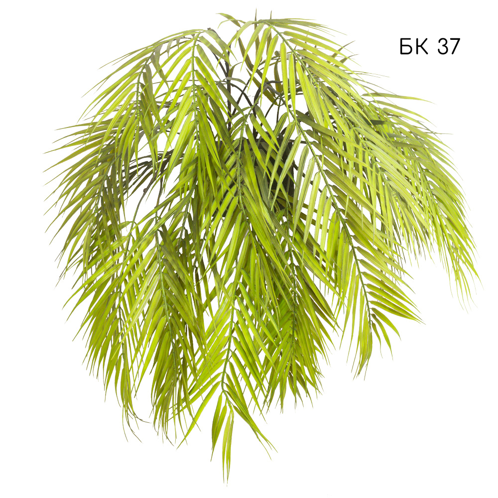 Фитостена 130 на сетке_146