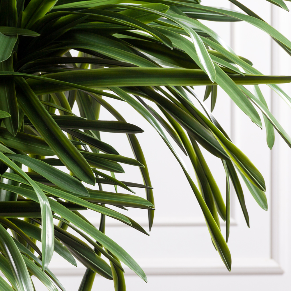 250/3К/608(з)(F) Драцена искусственная h250см, d120см_5