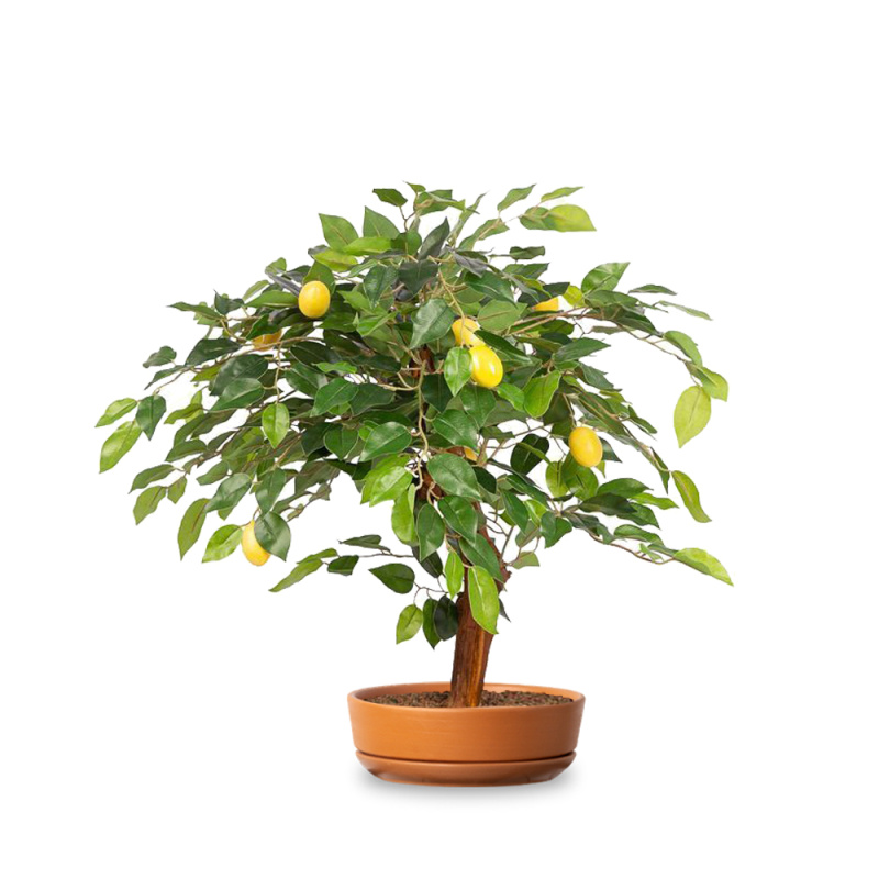 БП050/13М(П) Бонсай Лимон искусственный с плодами h50см (латекс)_1