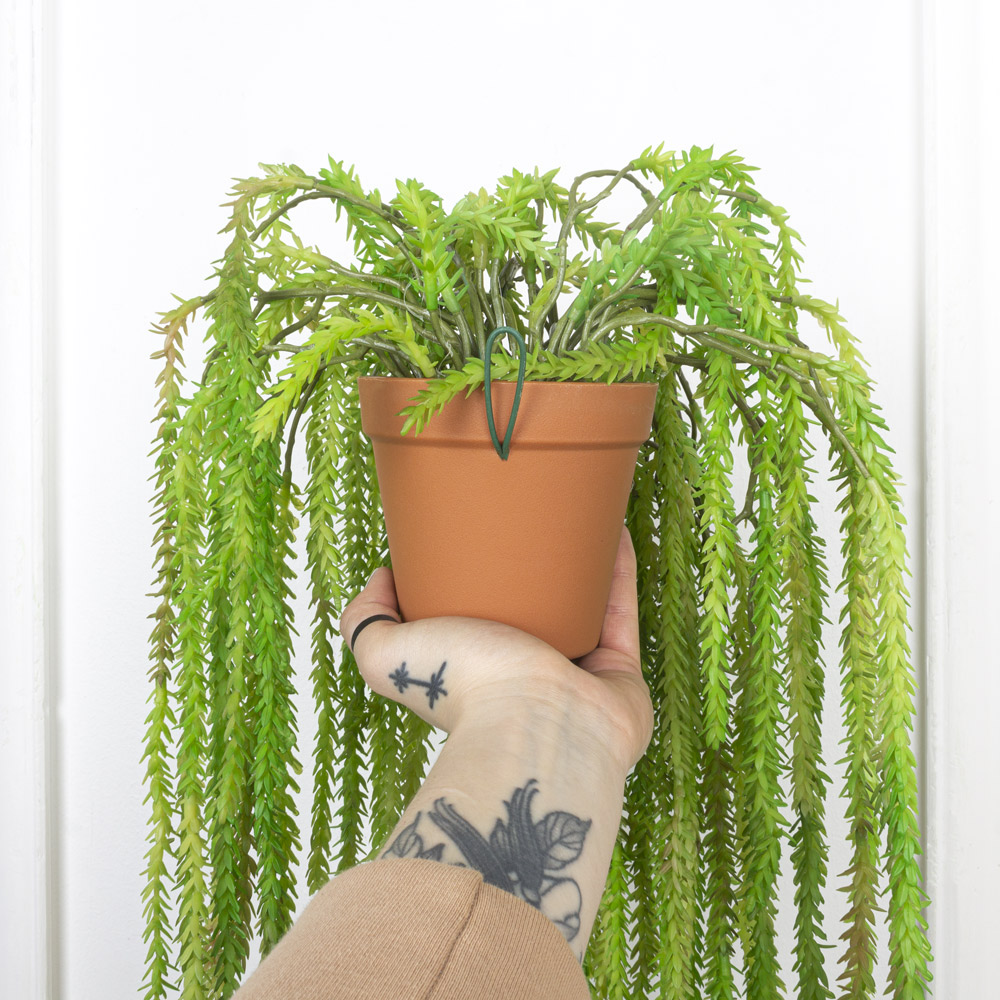 КС80 Мох-елочка Крассула ампельная(силикон) в кашпо d11см_9