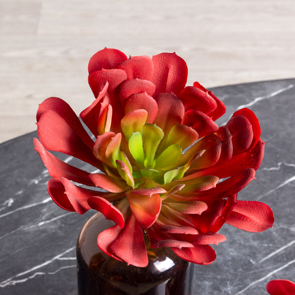 7143/9165-16/1(F) Суккулент искусственный  Эхеверия  гигант 18см, бордо_1