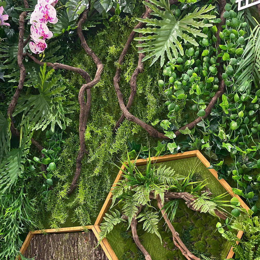 Фитостена 102_3