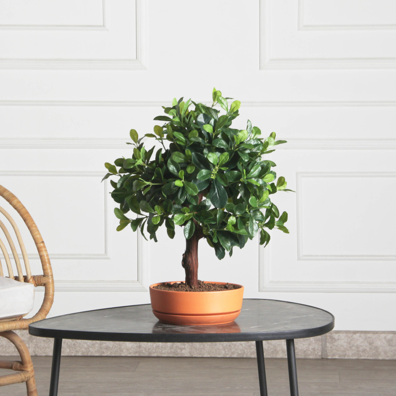 БЛ050/3К/204(F) Бонсай искусственный Питтоспорум h50см (латекс)_)1