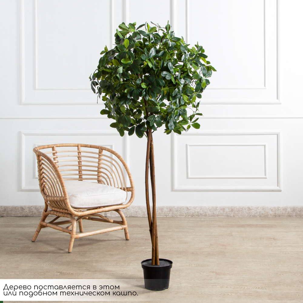 160/Ш/РН/84(FixS)(Пр)(F) Шеффлера искусственная h160см (латекс)_2