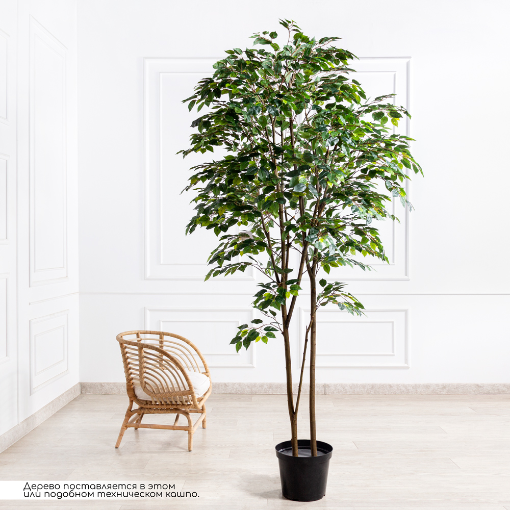 240/РН/34(з)(F) Фикус искусственный 2 ствола h240см_1