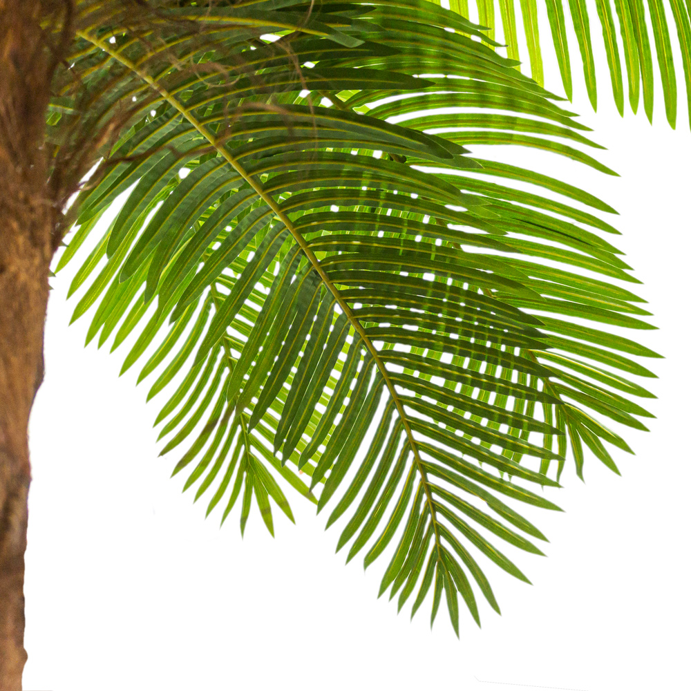 П550разб/49(з.) Пальма разборная h550см,d300см на мет.основании, латекс _1