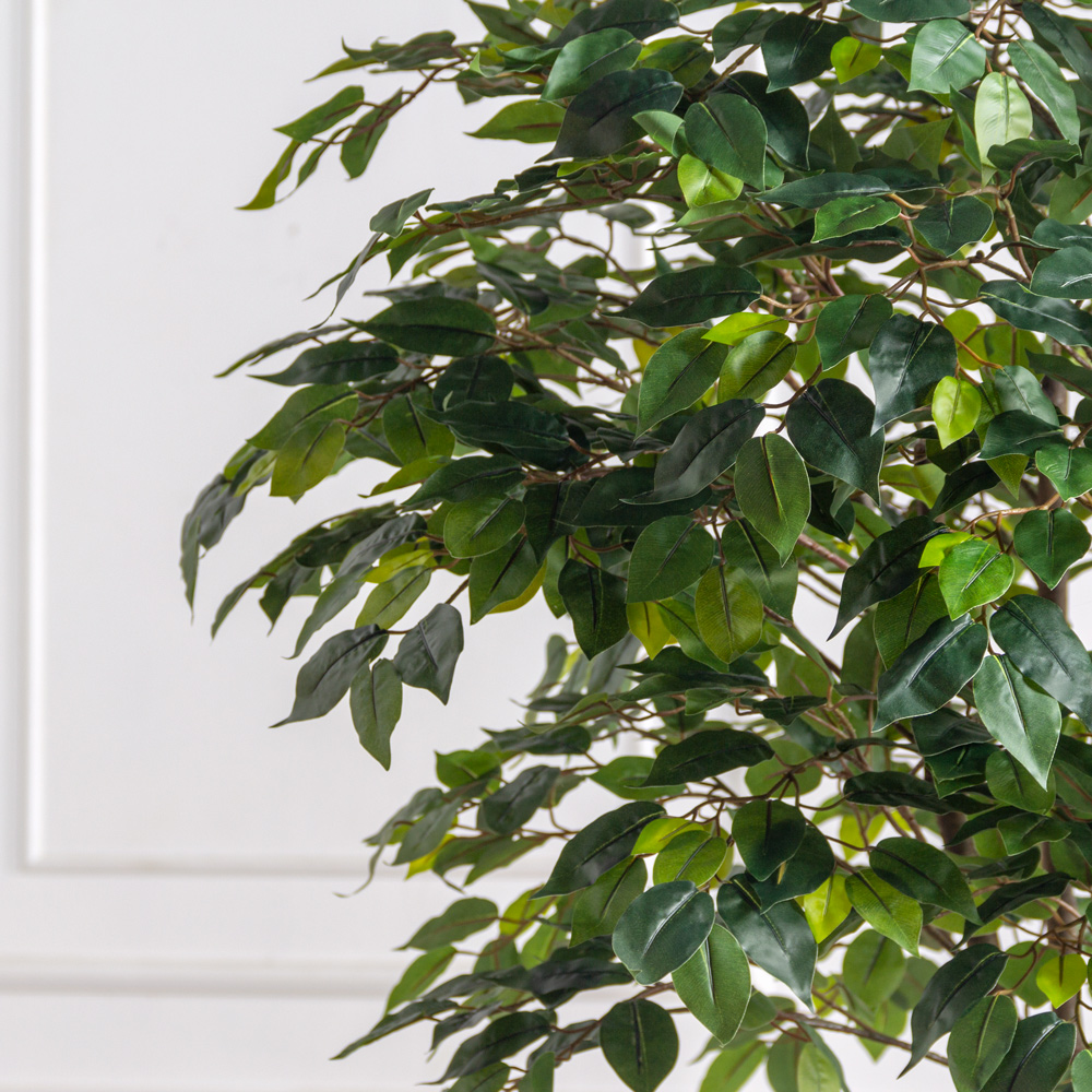 200/РН/34(F) Фикус искусственный h200см (латекс)_2