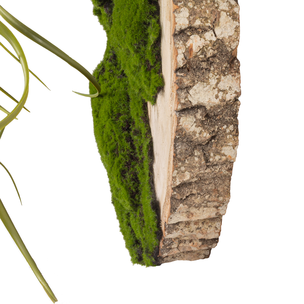 БК140/2 Композиция на березовом спиле d48-50см_3