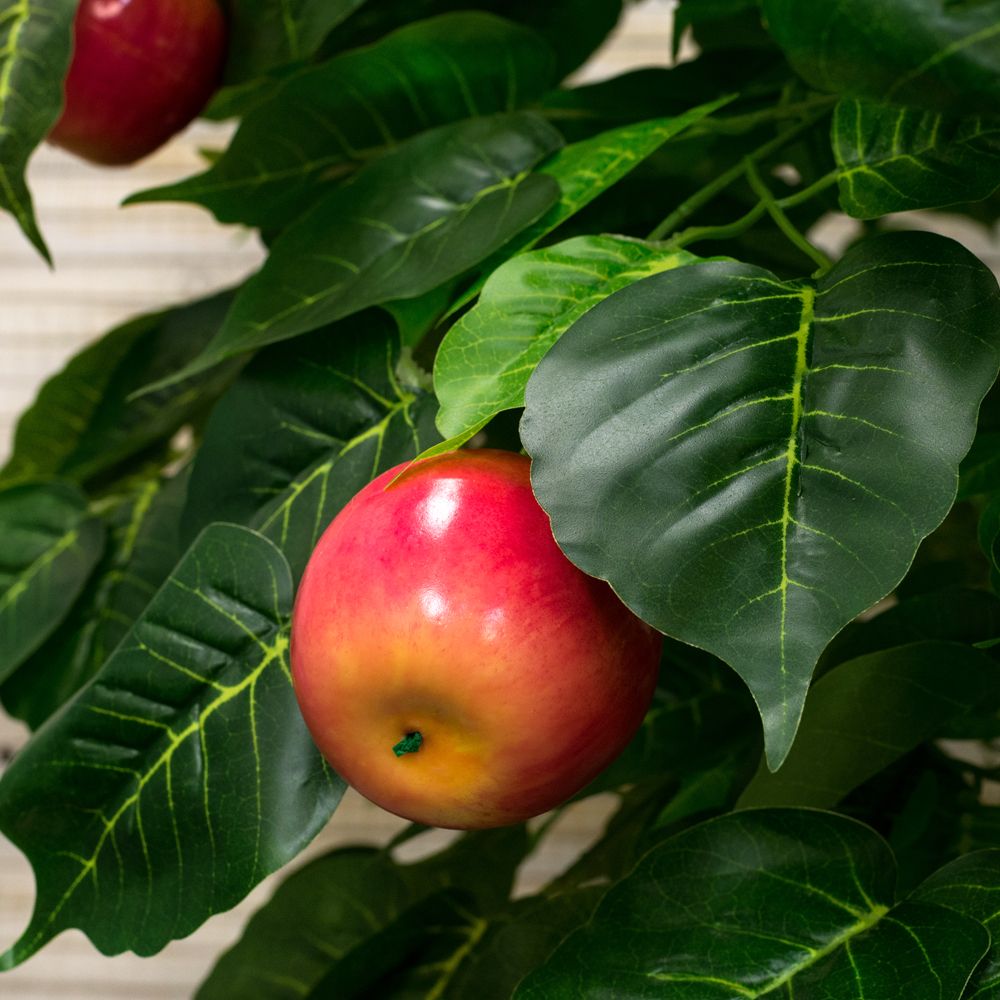 200/РПК/35(з.) Яблоня h-200см-2