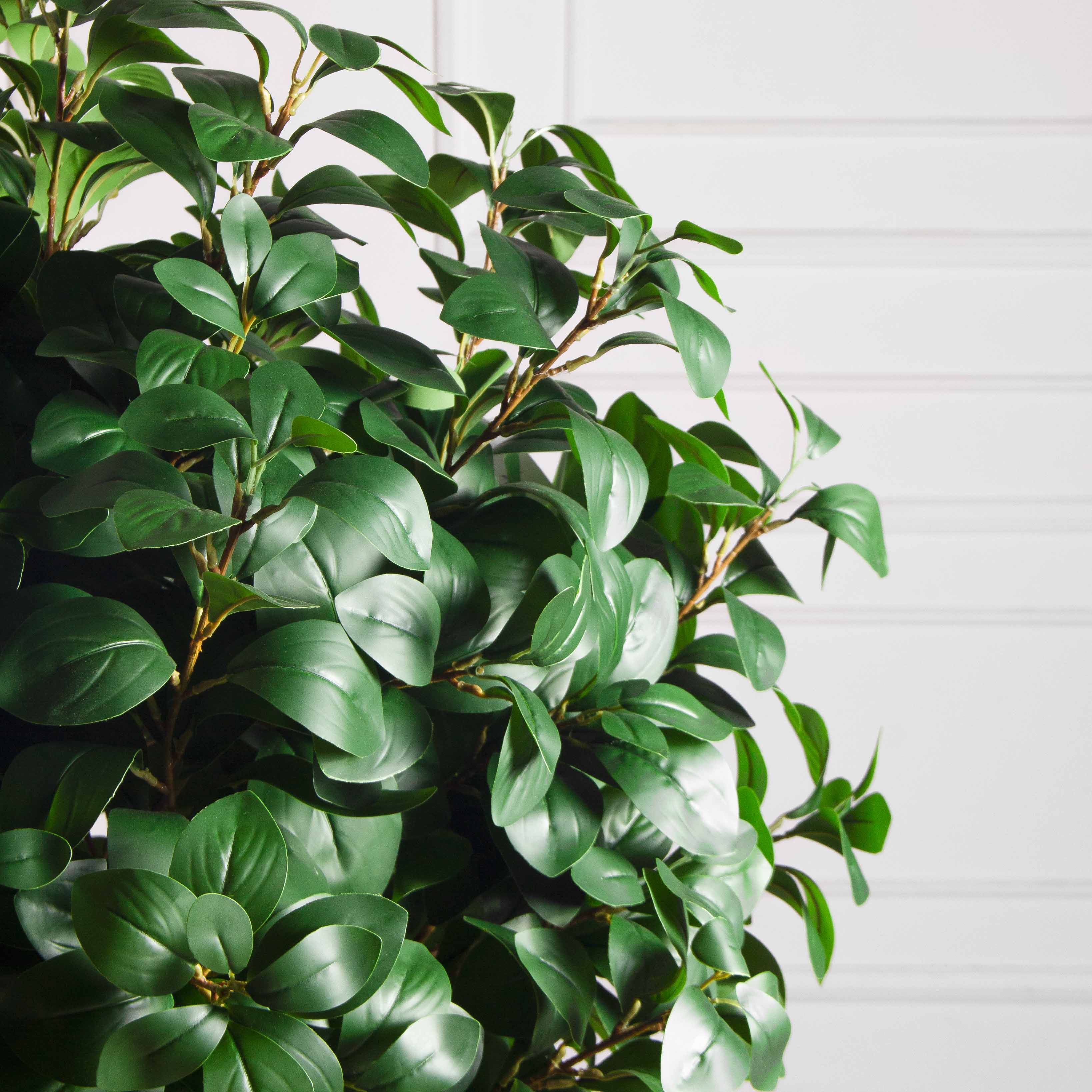 120/Ш/208(з)(F) Рускус искусственный h120, d80см (латекс)_4