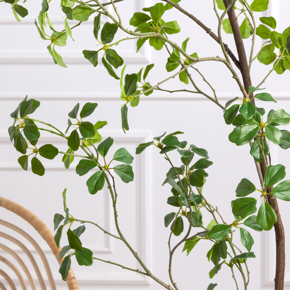 210/РН/ОК/534(Пр)(F) Шефлера Компакта искусственная h210см_3