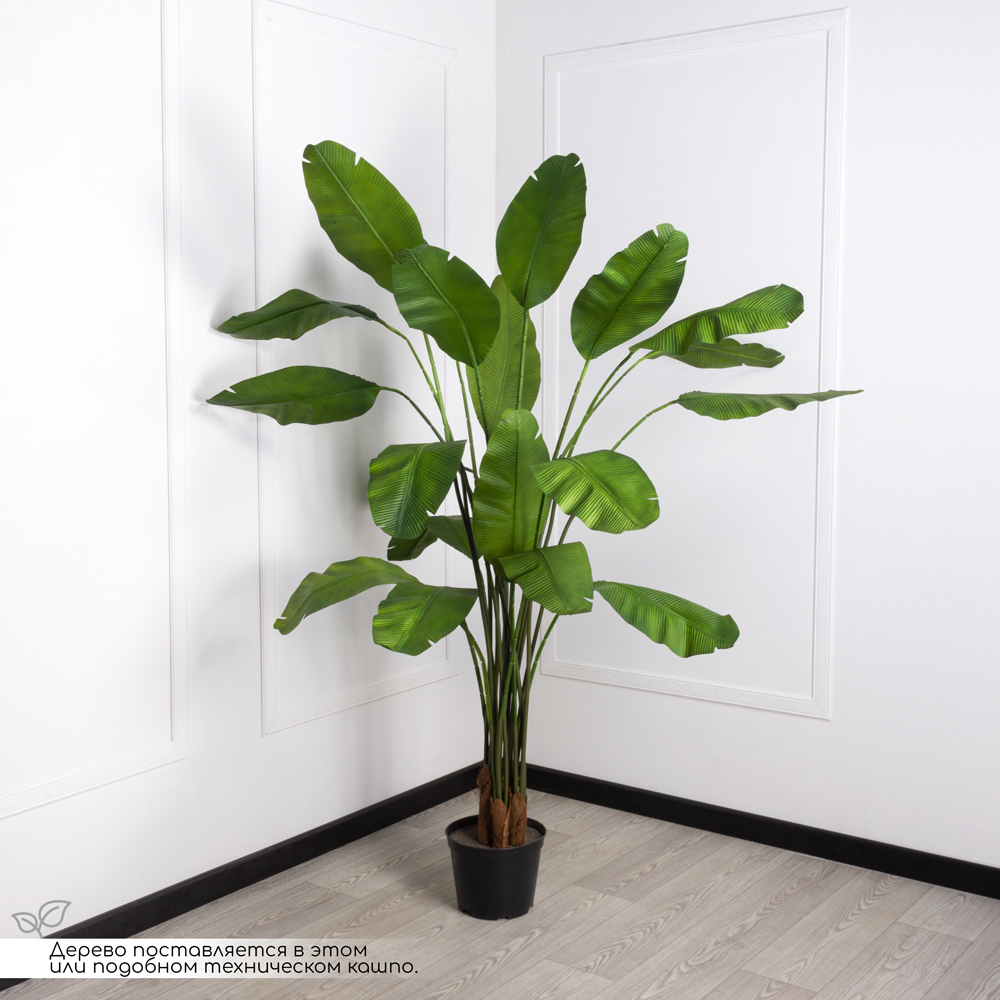 П180/356 Куст Банана (зеленый)h180см(латекс) _7