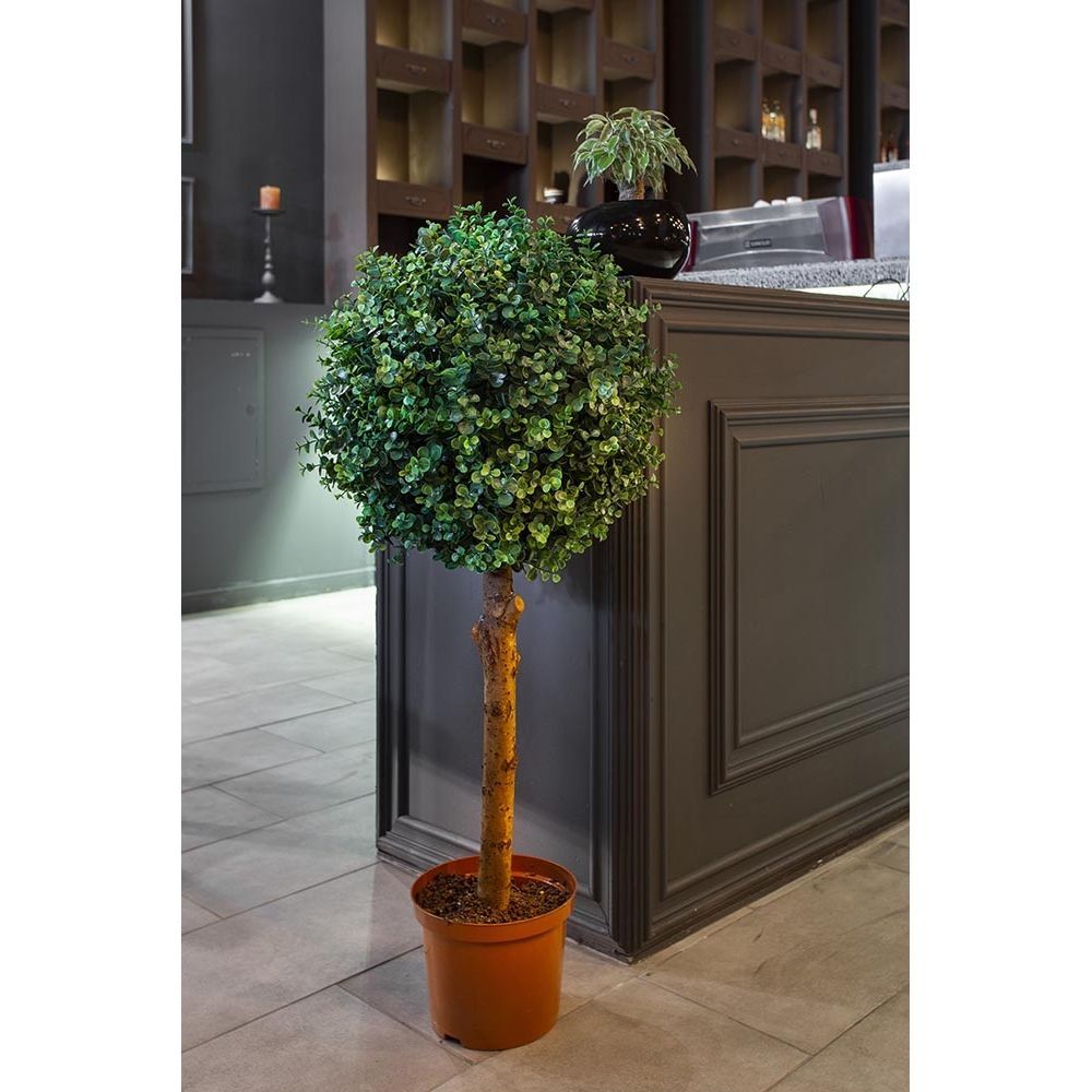 СШ110/228-1 Самшит-шар эвкалипт 