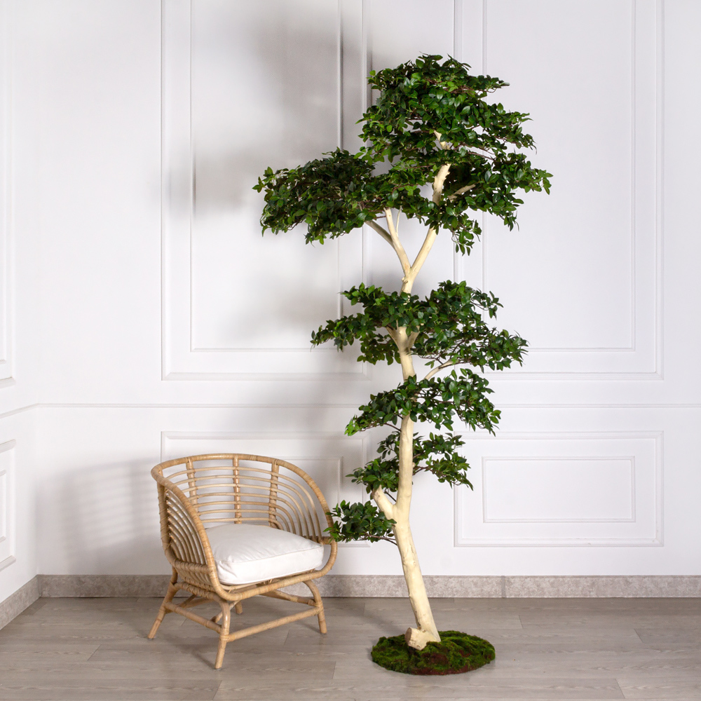 БЛ230/ДА/516(Пр) Бонсай искусственный Фикус Микрокарпа h230см (латекс) на основании _2