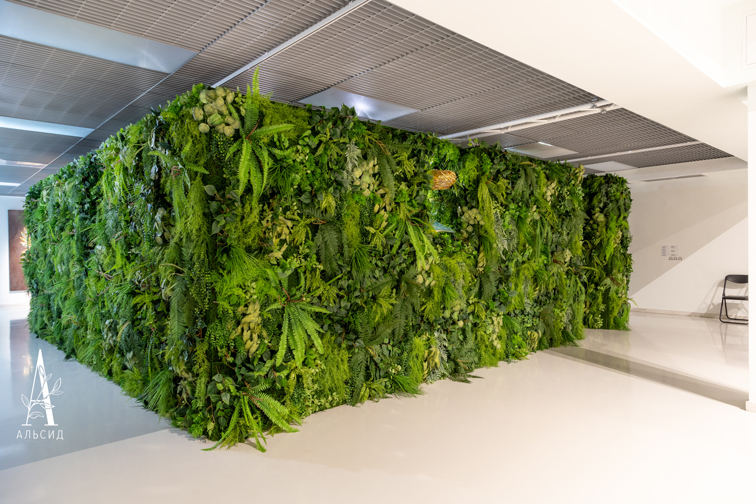 ФТС200(F) Фитостена 1кв.м_6