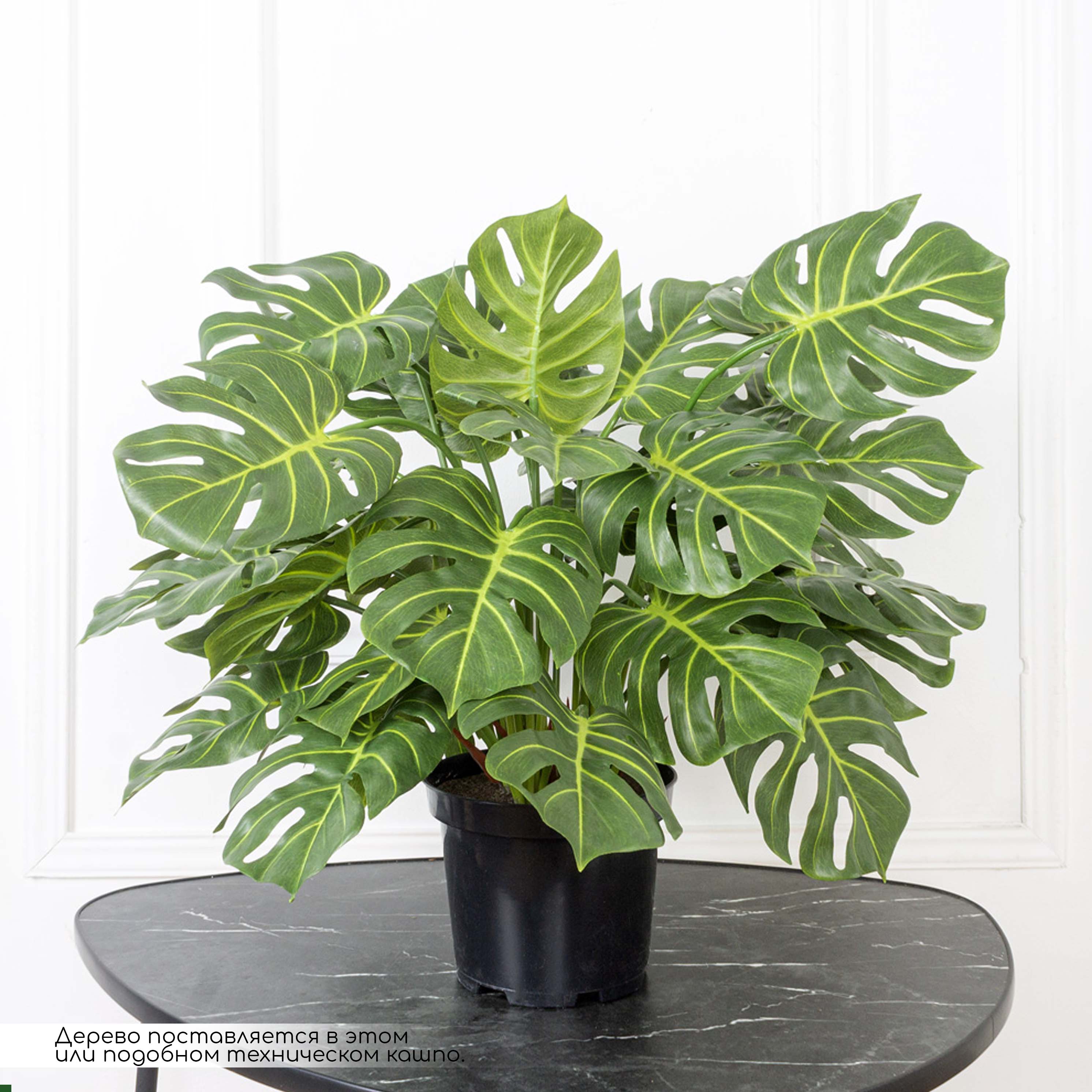 К065*5(F) Монстера искусственная куст h65см (латекс) в кашпо_2