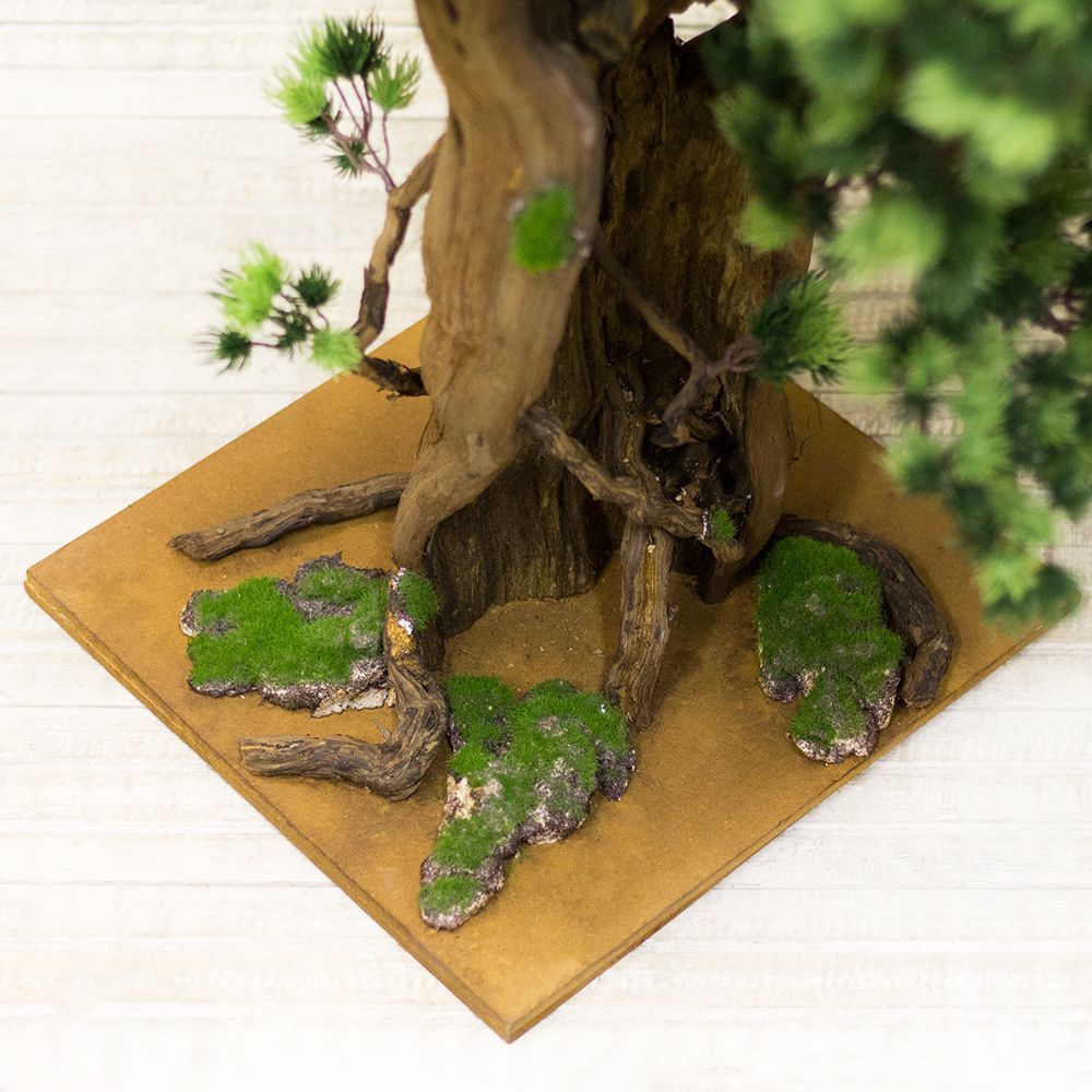 БС90/ОС/2К/30 Бонсай Сосна h-90см_3