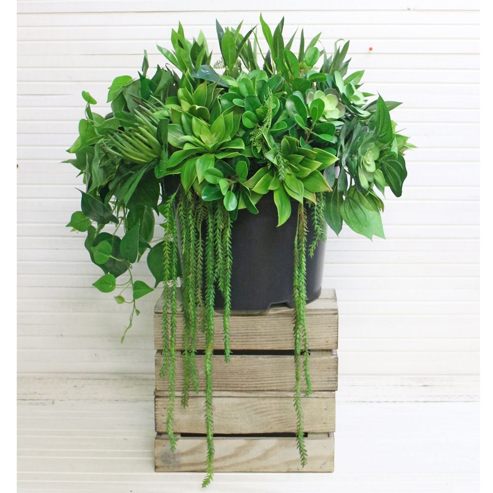 СКК13(з.) Композ. из суккулент. в кашпо d-33(d-40)_3