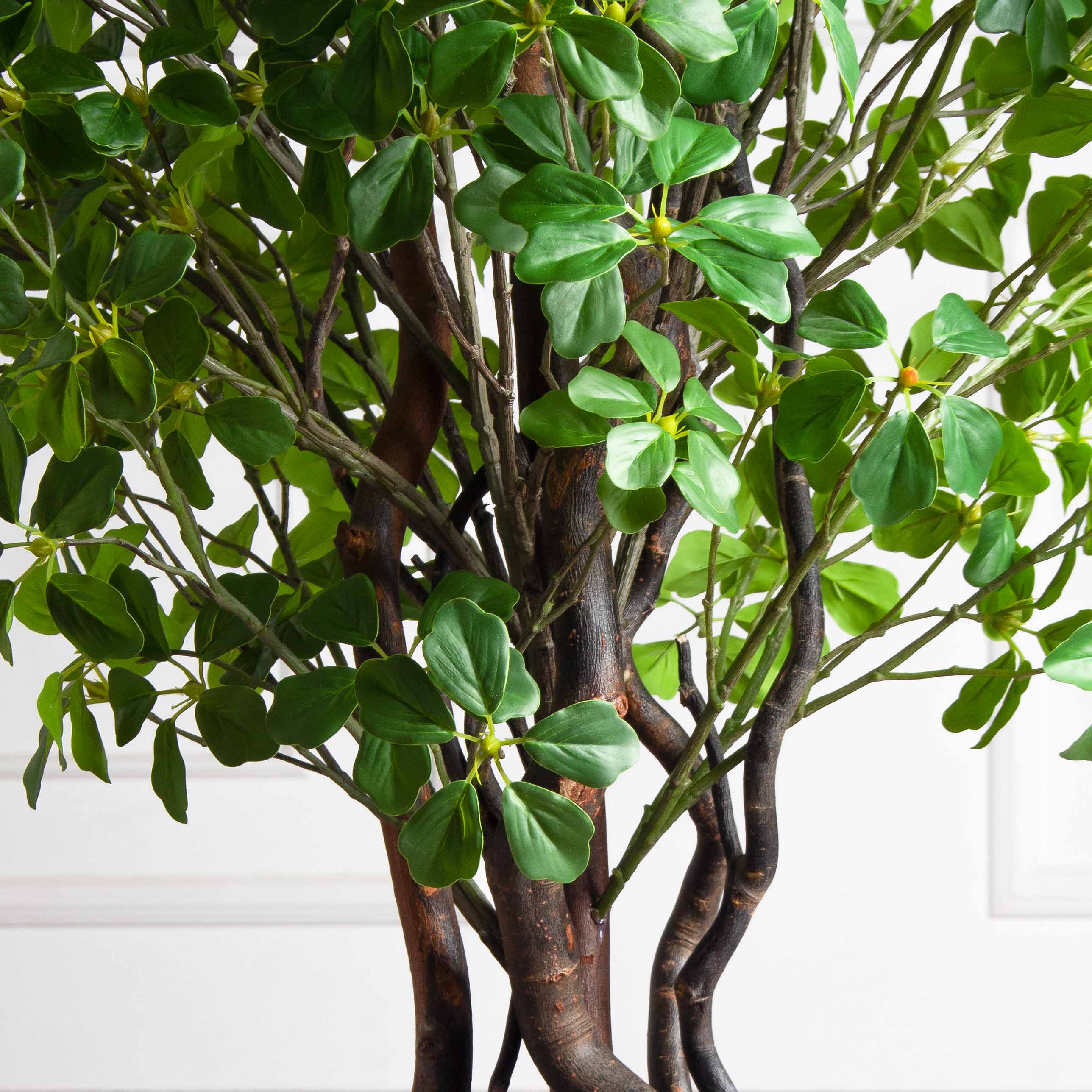 110/ВИТ/ФОН/534(з)(Пр)(F) Шеффлера искусственная Компакта  h110см, латекс_5