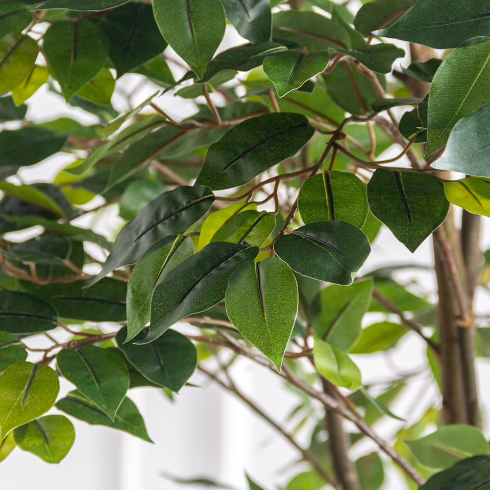 240/РН/34(з)(F) Фикус искусственный 2 ствола h240см_3