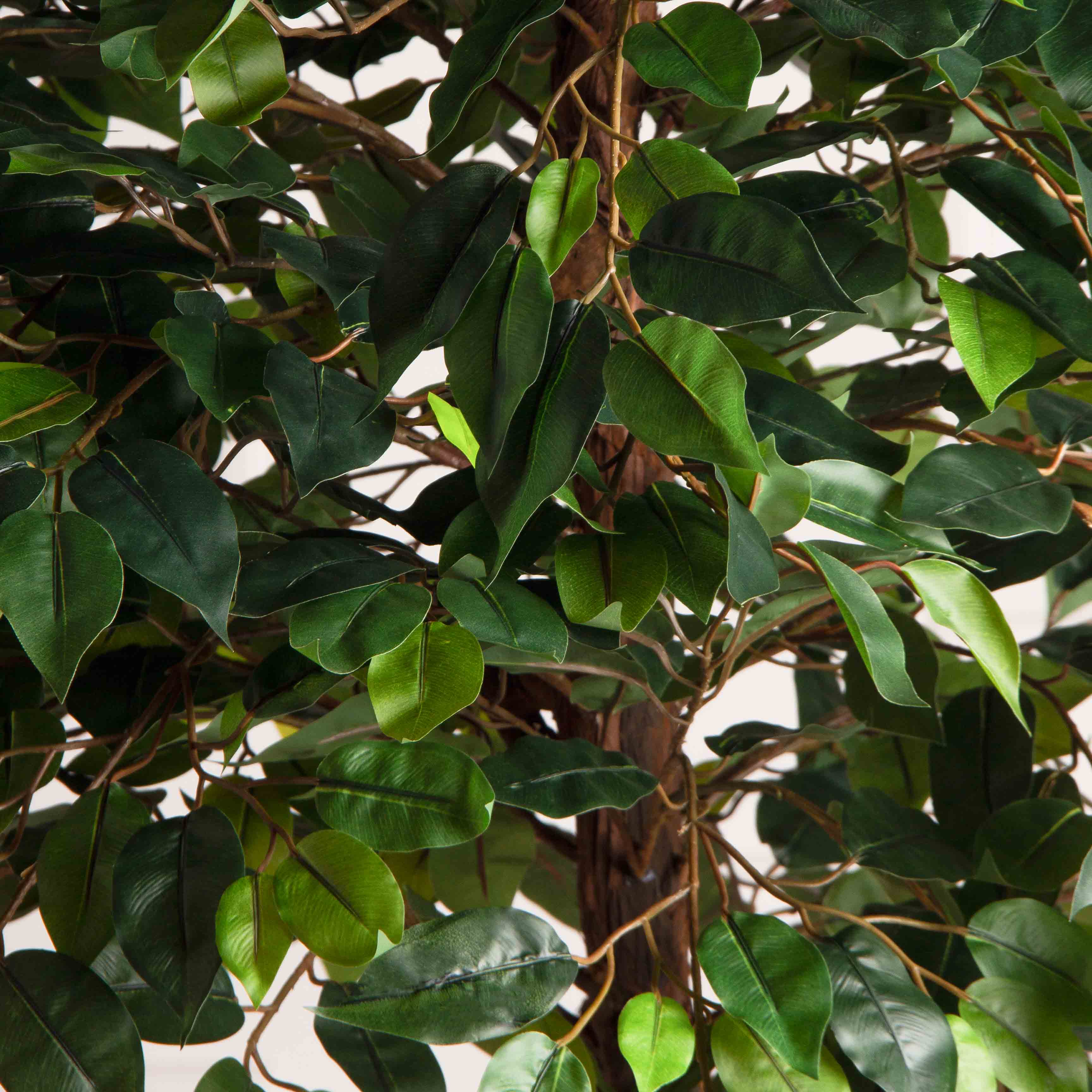 165/ОС/34(F) Фикус искусственный h165см (латекс)_7