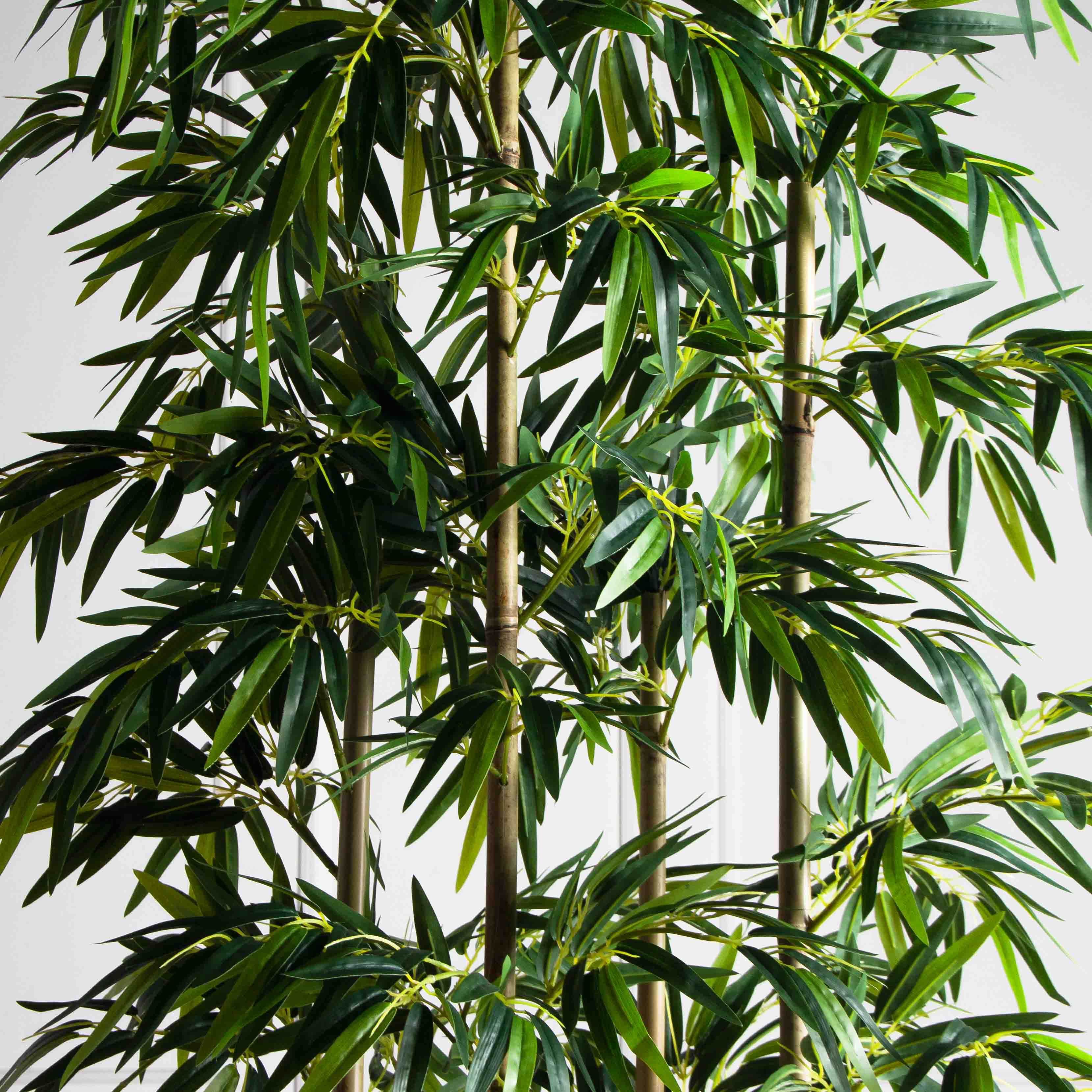 Ш220/75-3(з)(Пр)(F) Ширма искусственная Бамбук h220см в кокосовом боксе 40х15х15см_7