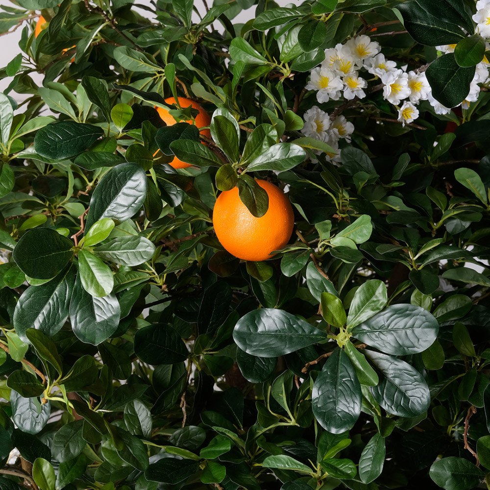 200/РН/84-5(з)(F) Дерево искусственное экзотическое  с апельсинами и цветами h200 d200см, латекс_6