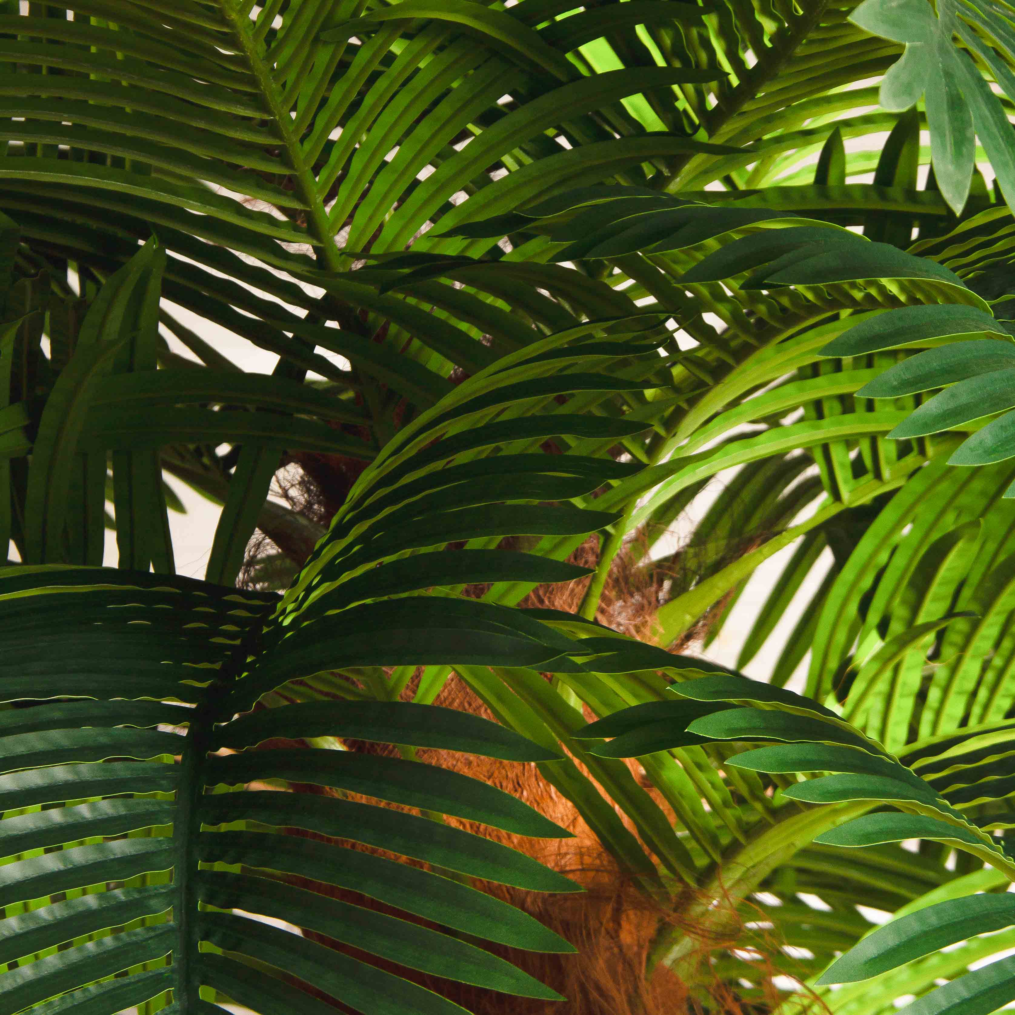 ПС300/ТР/49Прем(Пр)(F) Пальма Арека искусственная h300см (латекс) на мет.основании_5