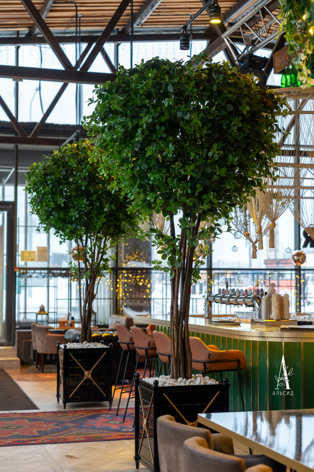 320/РН/84(з)(F) Шеффлера искусственная h320см (латекс)_9