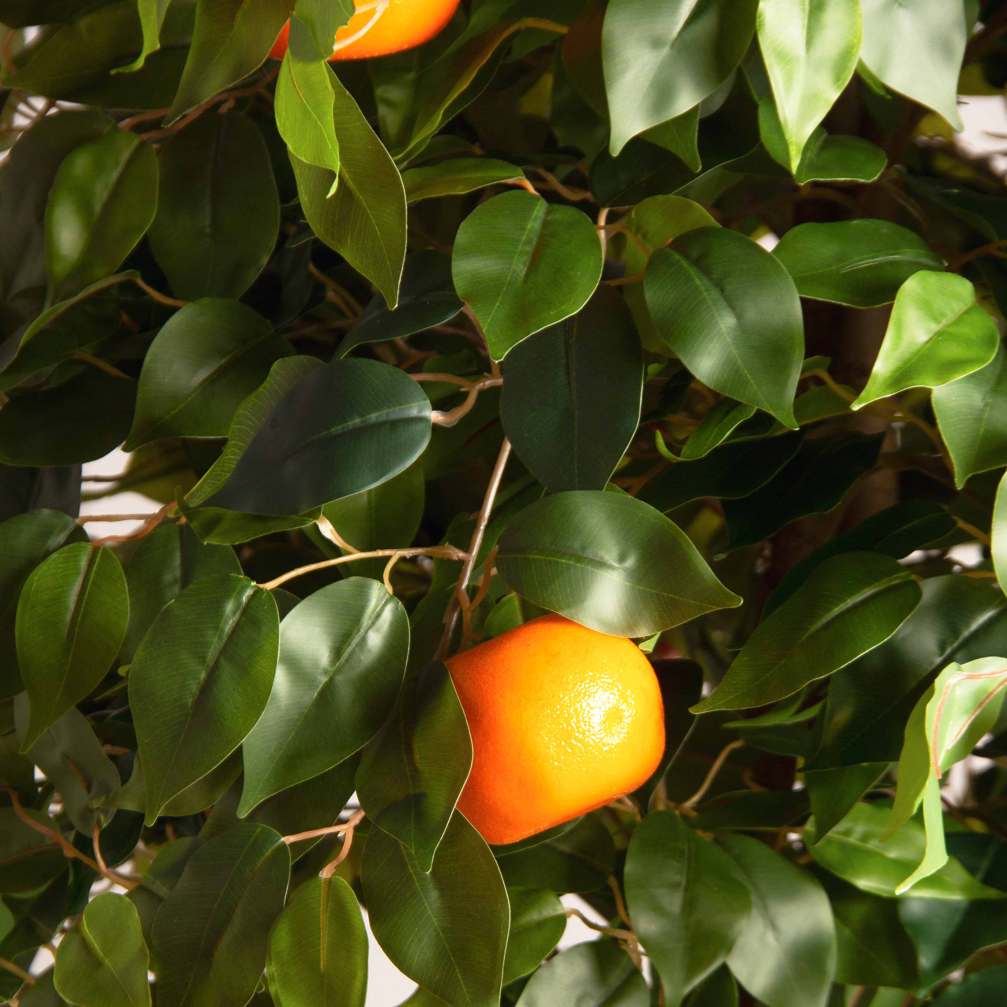 180/РПК/24М(Пр)(F) Мандарин искусственный с плодами h180см (латекс)_3