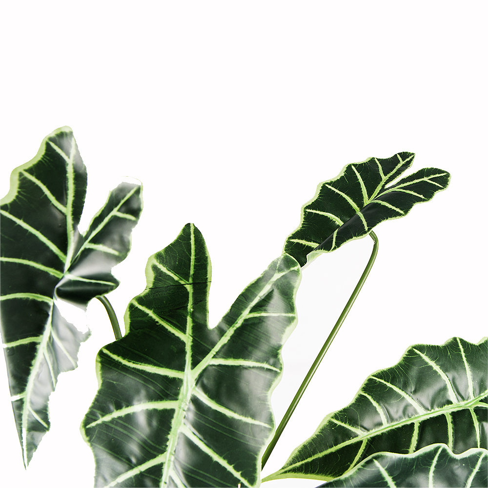 7143/0033-13 Куст Алоказия Полли искусственный, h65см (7л.)_2