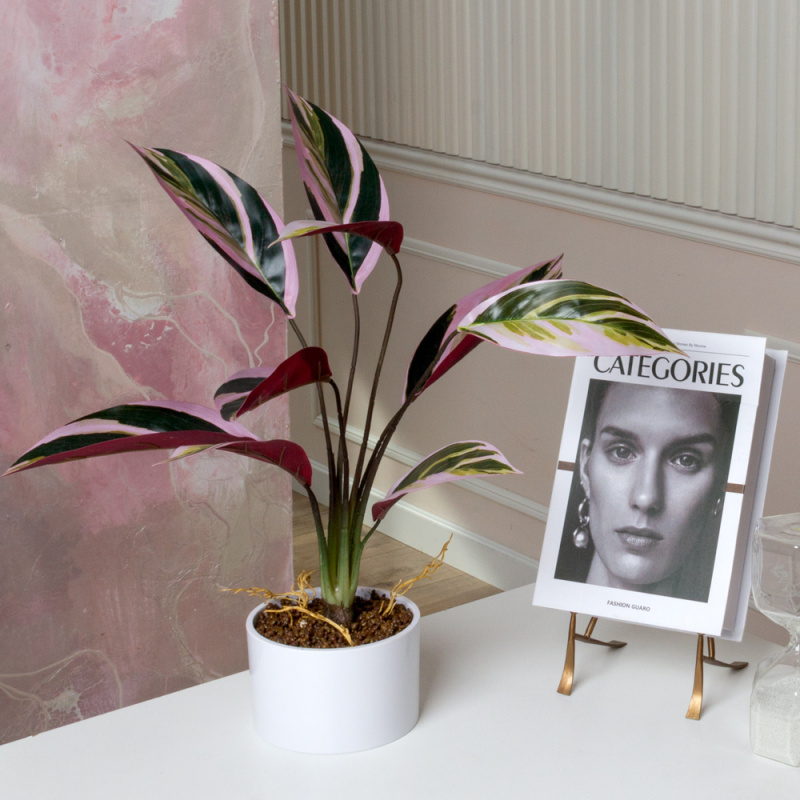 ЦС2122-2(F) Калатея искусственная Строманта,  розово-зеленая