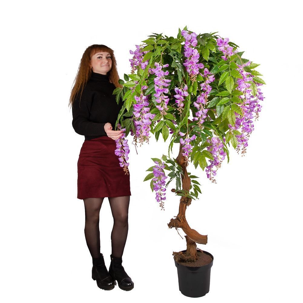 160/ОС/424-2 Глициния(вистерия) сиреневая h160см (латекс)_3