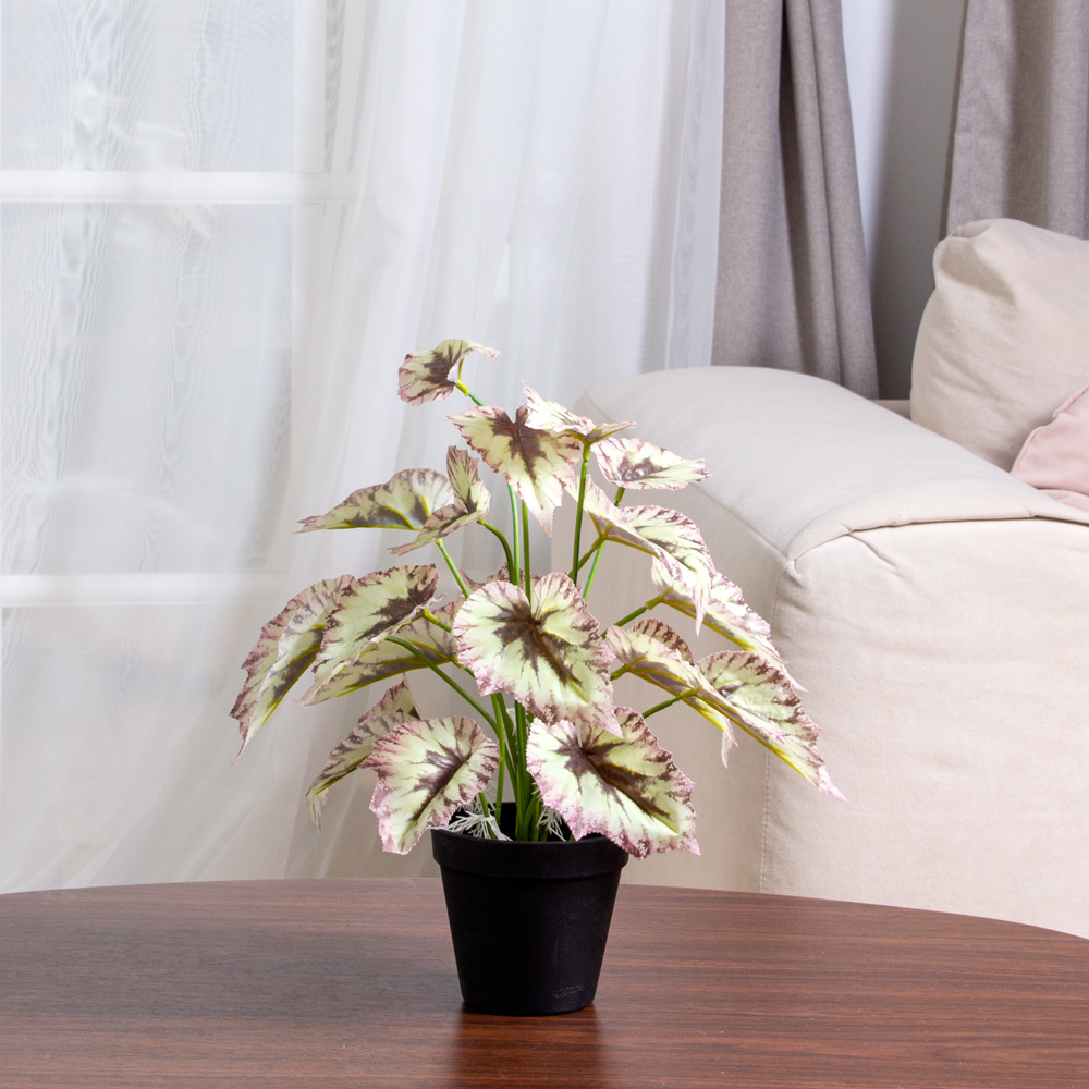 ЦС211-2(F) Бегония искусственная бело-бордовая_5