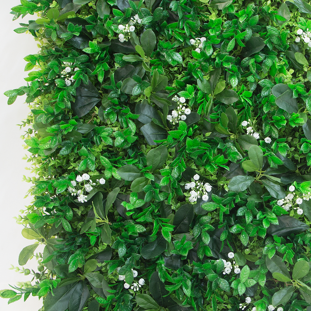 Фитостена 77(з)_2