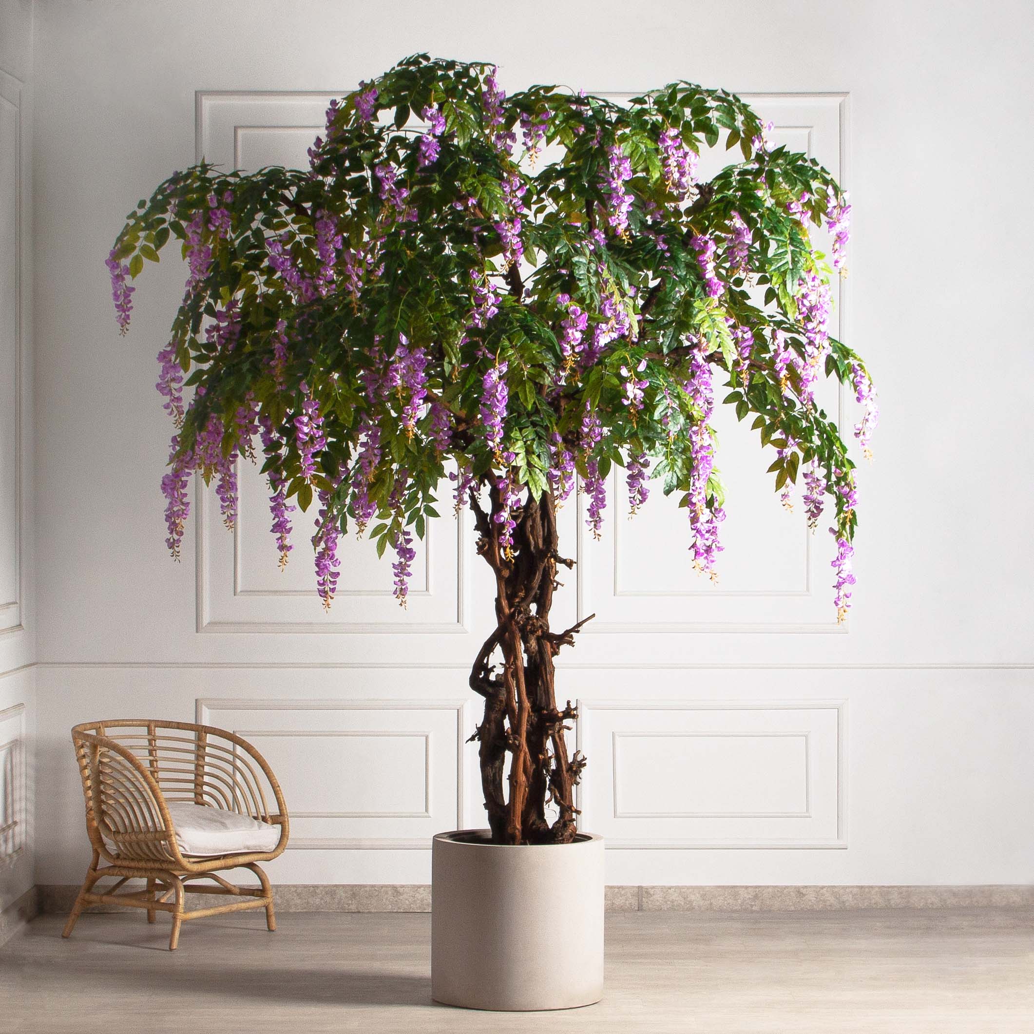 280/ОС/АСС/424-1(Пр)(F) Глициния(вистерия) искусственная h280см (латекс), сиреневая_4