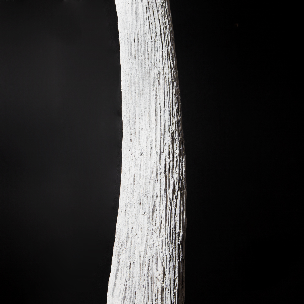 310Гбст/разб/РН/652(F) Ива интерьерная зимняя h310см d290,белая_4