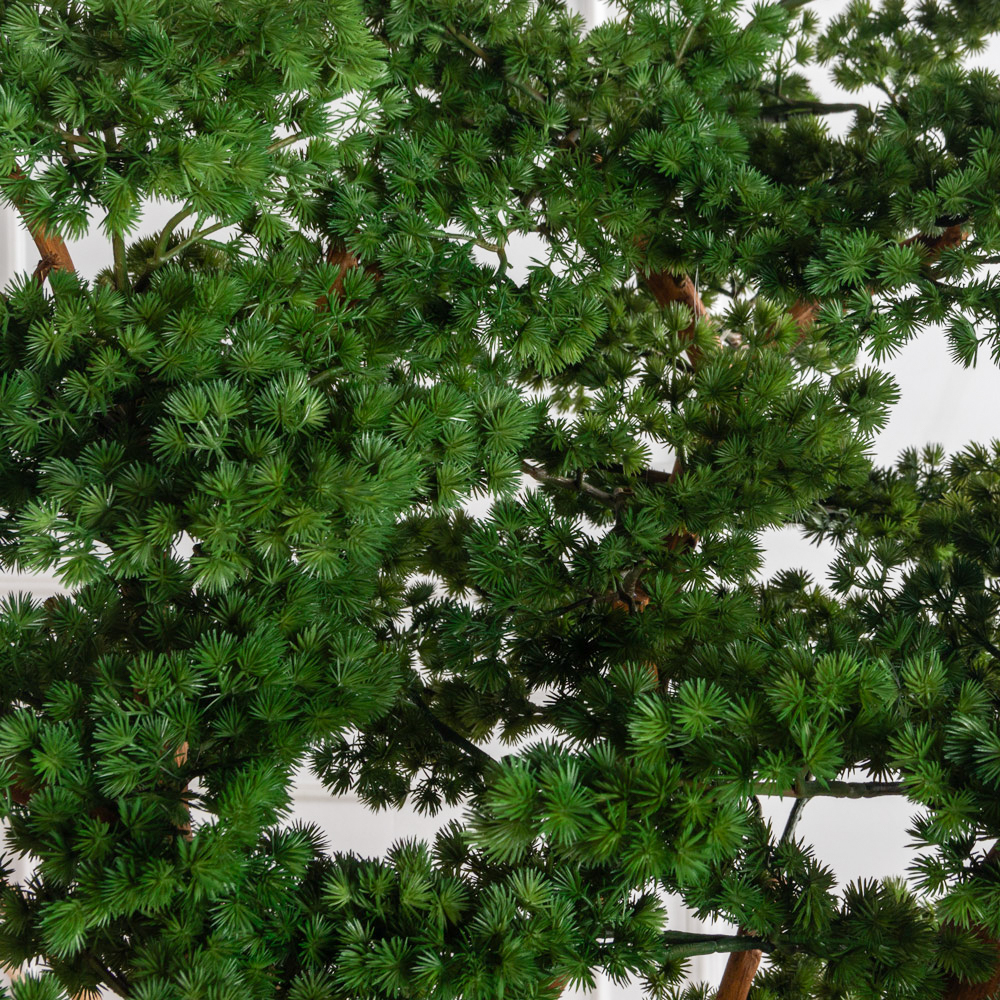 БС165/ДА/427(з)(F) Бонсай искусственный Сосна h165 d120см_5