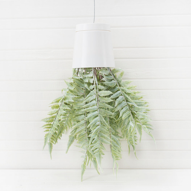 СП05-1 Sky Planter Циртониум h-35 в кашпо (11*10)