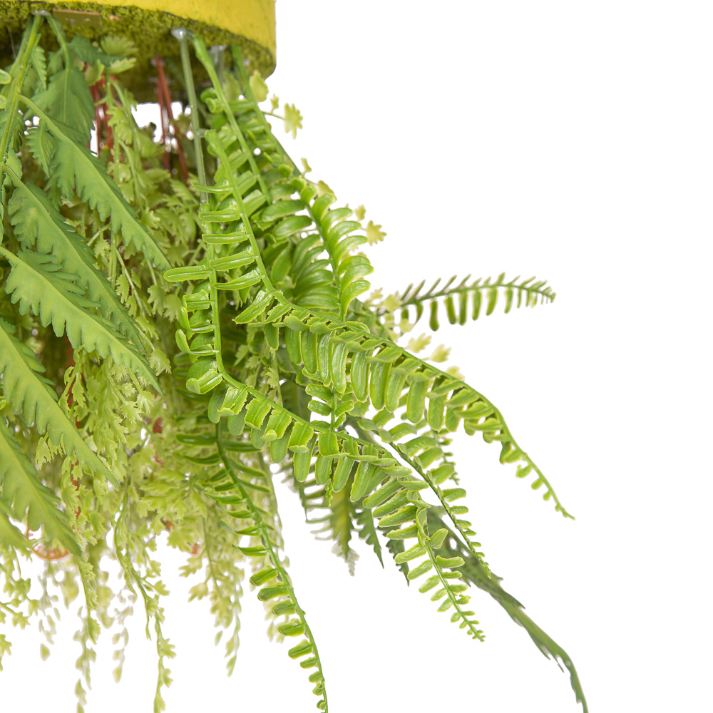 ВМ13(з.) Вставка подвесная d17см микс из папоротников(латекс) с ампельными растениями_3
