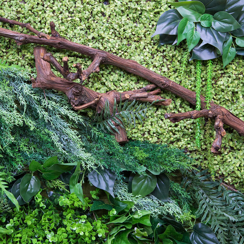 Фитостена 82-1_1