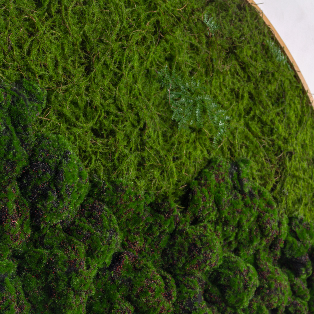 ФП20(з)(F) Фитопанно d100см_2