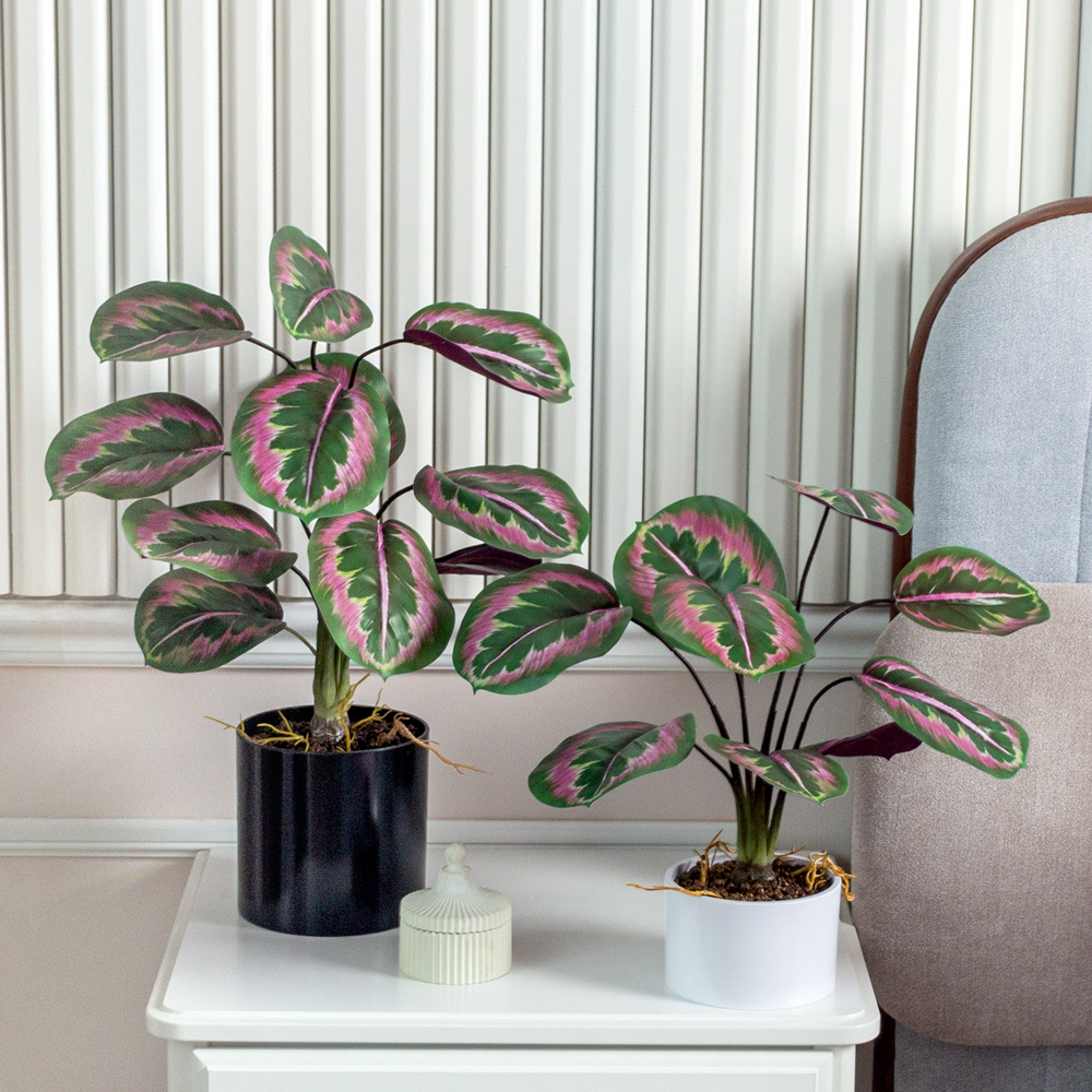 ЦС2144(F) Калатея искусственная зелёно-фиолетовая_2