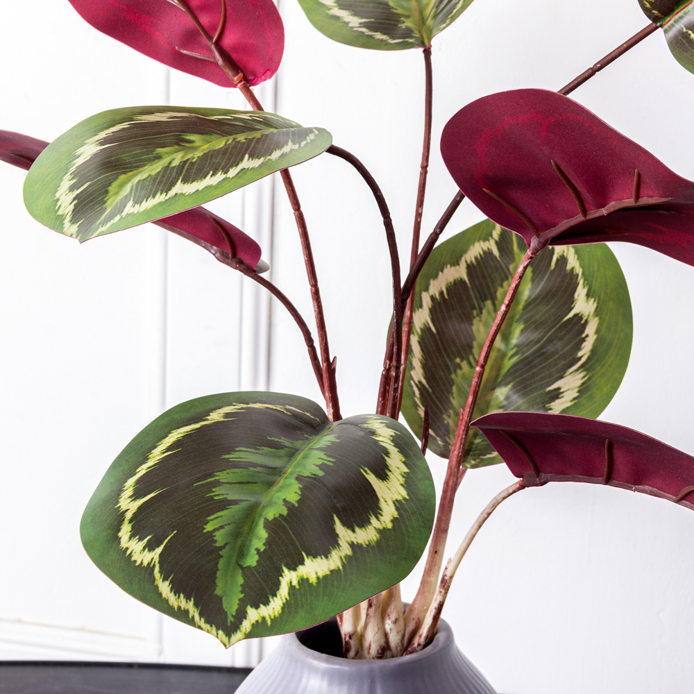 7143/А2790-266 Калатея Медальон искусственная куст h50см, зелено-белая (1432)_1