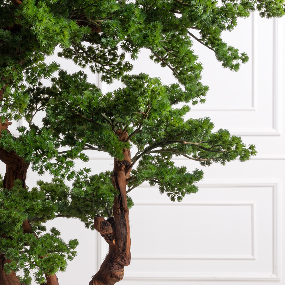 БС150/2К/ОС/30(F) Бонсай искусственный Сосна h150см в кашпо со мхом d26см_1