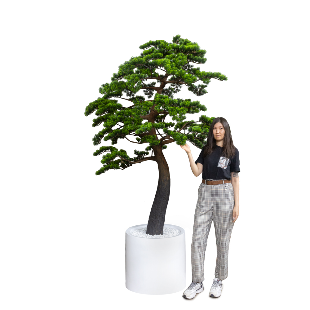 210/ДС/30(з.) Бонсай искусственный Сосна h210см (d кроны 100см)_2