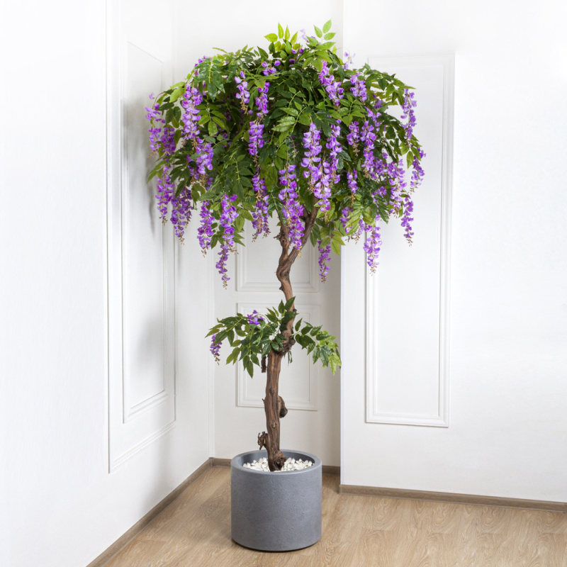 230/Р/ОС/424-2 Глициния (вистерия) искусственная h230см (латекс), сиреневая_4