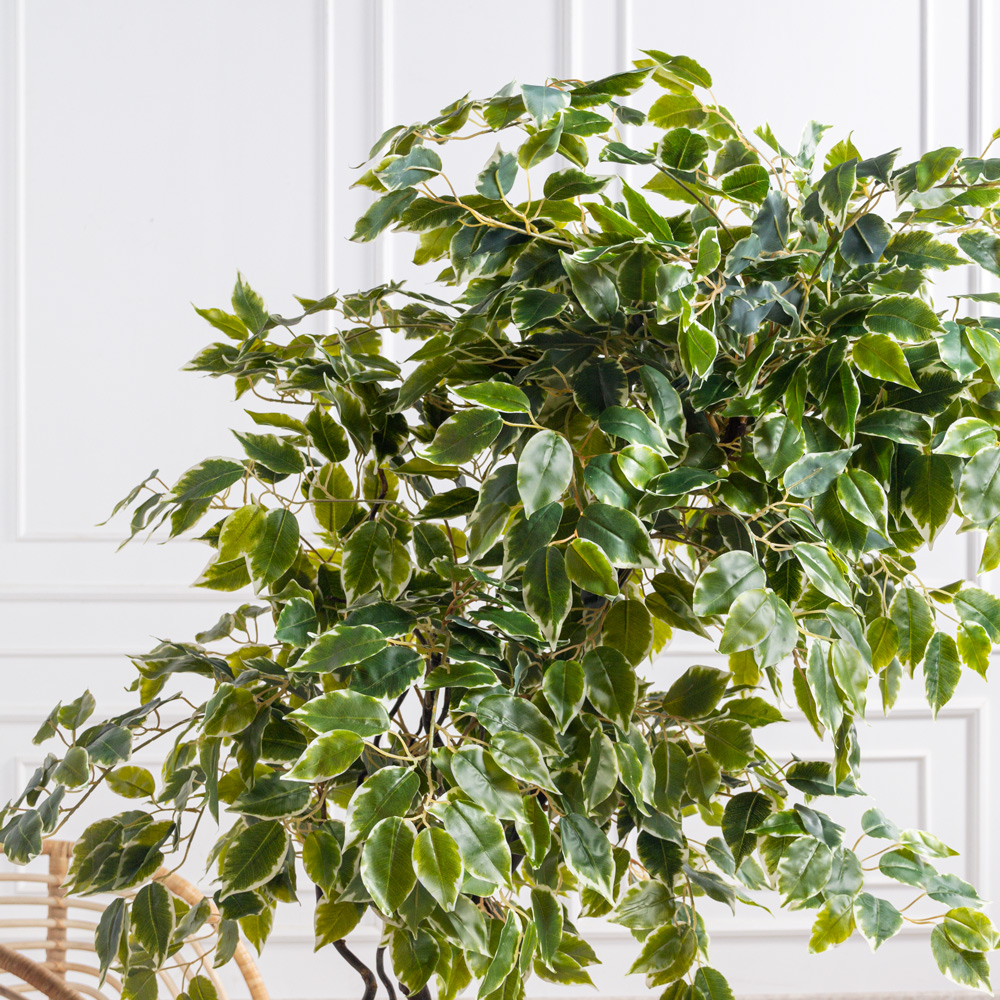 160/ВИТ/17(Пр)(F) Фикус Бенджамина искусственный h160см_3